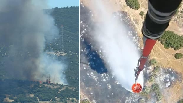 İzmir Bornova'da ormanlık alanda yangın: Ekipler seferber oldu