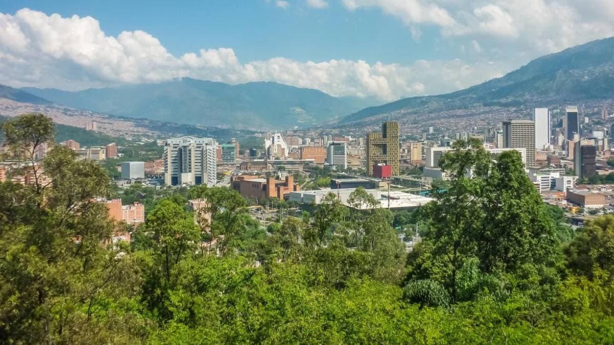 880 bin fidan toprakla buluştu: Şehir çevre felaketinin pençesinden kurtarıldı