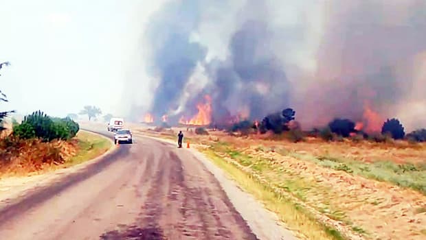 Edirne'de anız yangını fırtına gibi büyüdü: Ormanlık alana sıçradı, ekipler seferber oldu