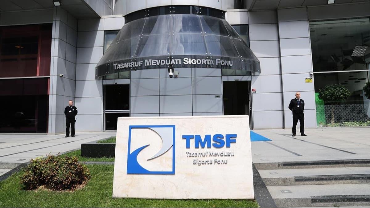 TMSF, kayyum yönetimindeki şirketleri tek çatı altında topluyor