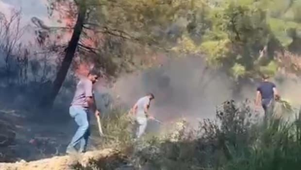 Hatay'ın Antakya ilçesinde orman yangını: Ekipler seferber oldu