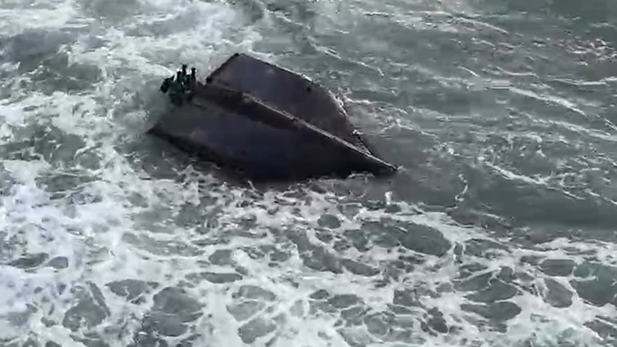 Akçakoca sahilinde balina ölüsü bulundu, ekipler seferber oldu