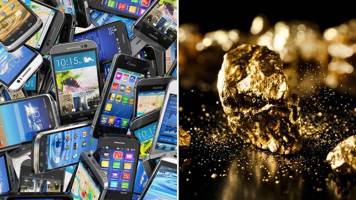 Darphane'nin altın madeni: Hurda telefonlardan kilo kilo altın elde edildi