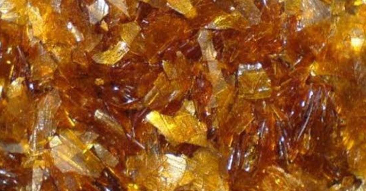 Böcek dışkısından elde ediliyor: Fiyatı dudak uçuklatıyor