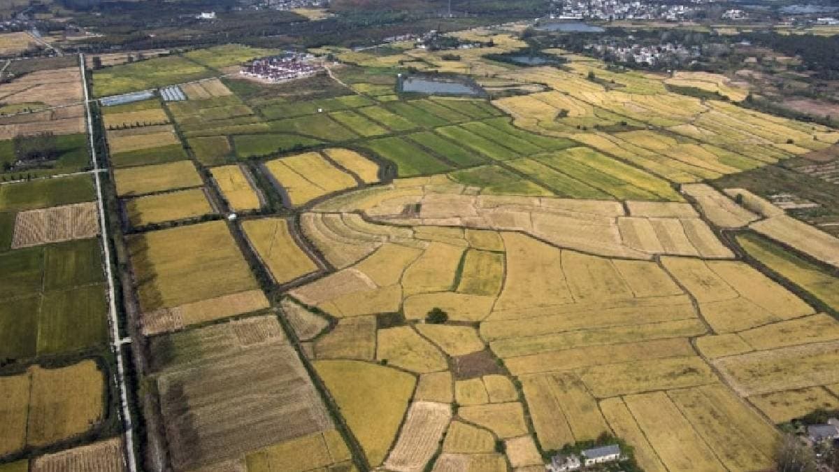 Komşu ülke gençlere ücretsiz arsa dağıtma kararı aldı