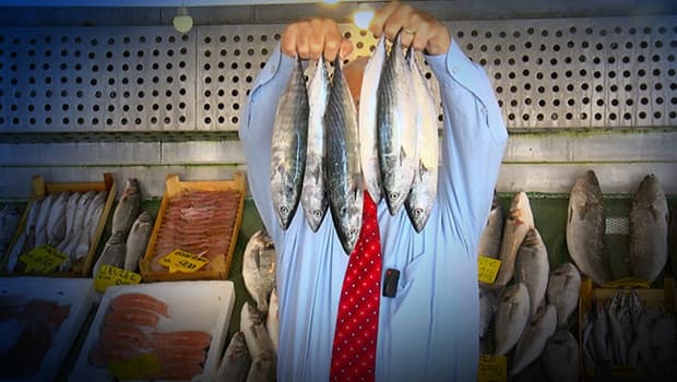 Av yasağı 1 Eylül'de kalkıyor: Marmara'da palamut, Karadeniz'de hamsi bereketi
