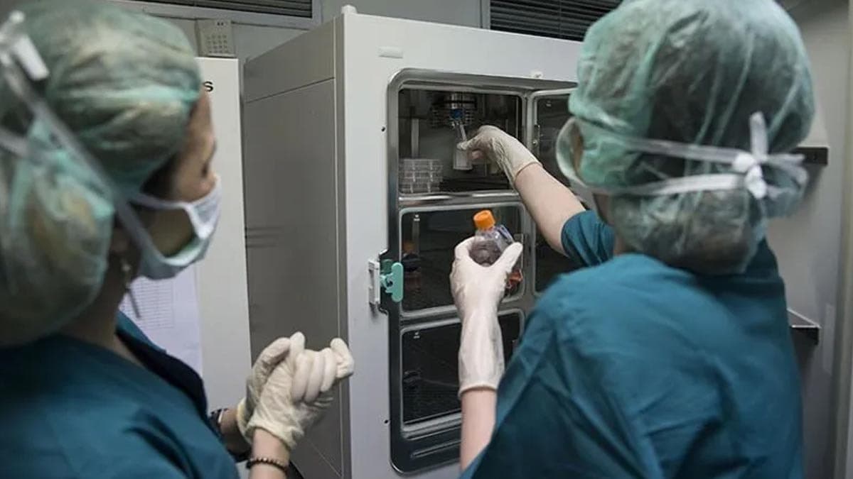 13 yaşına giren çocuğun peş peşe ortaya çıkan skandalları şok etkisi yarattı