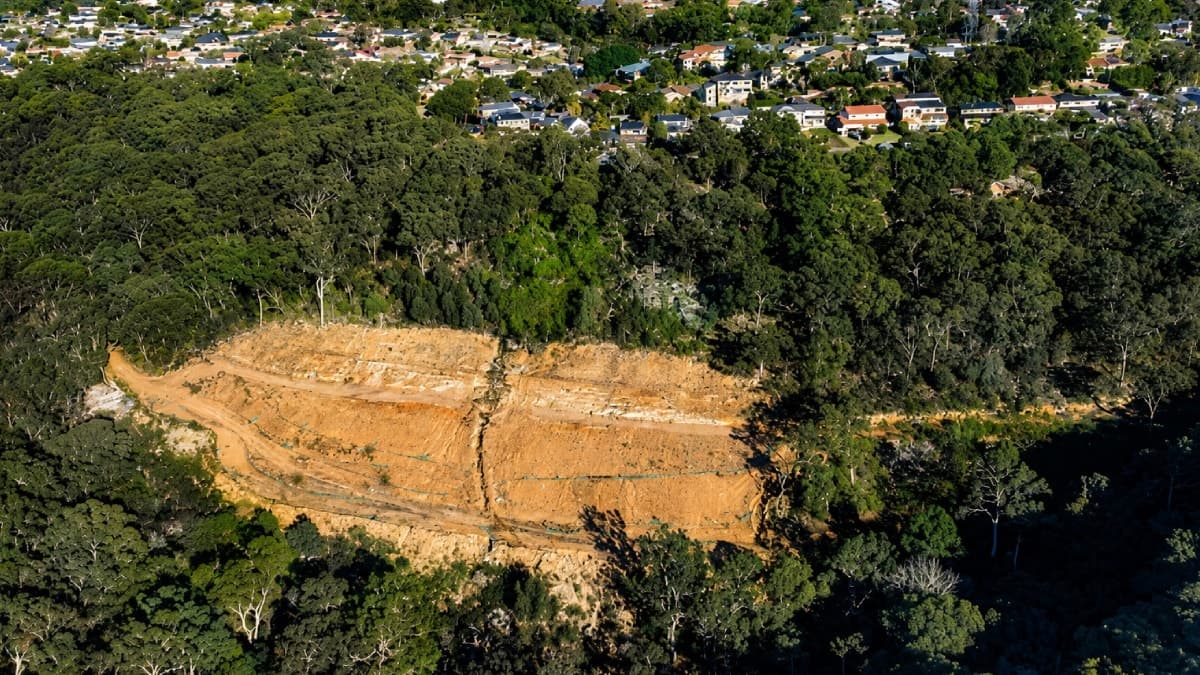 Lüks Konut İçin 600 Ağacı Kesti: Mahkeme Para Cezasıyla Yetinmedi