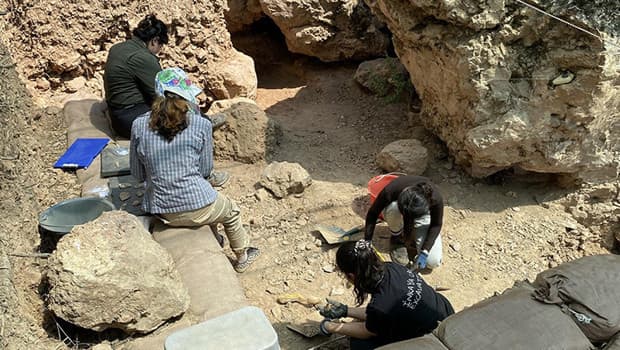 86 bin yıllık İnkaya Mağarası'nın 'organik kalıntı' gizemi: e-DNA analiziyle aydınlatılacak