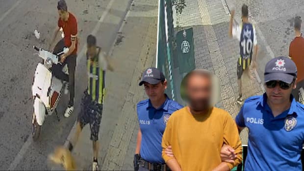 Samsun'da kediye tekme atan şüpheli tutuklandı: 'Sinirliydim, pişmanım'