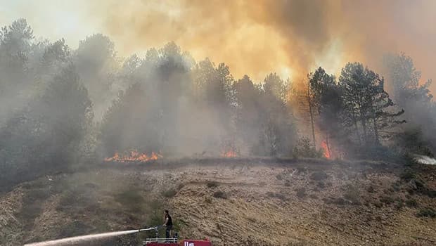 Bolu ve Malatya'da Eş Zamanlı Orman Yangınları: Ekipler Seferber Oldu