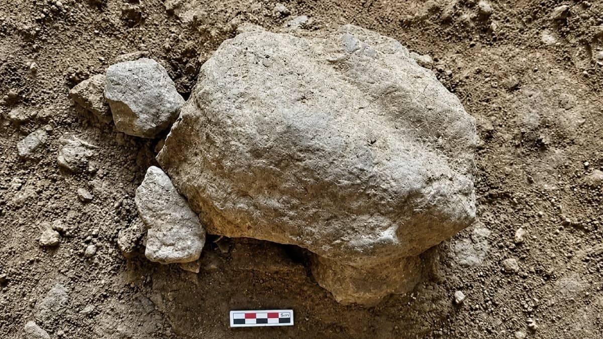 Bilecik'te Paleontologları Heyecanlandıran Keşif: 14 Bin 500 Yıllık Kaplumbağa Fosili Bulundu