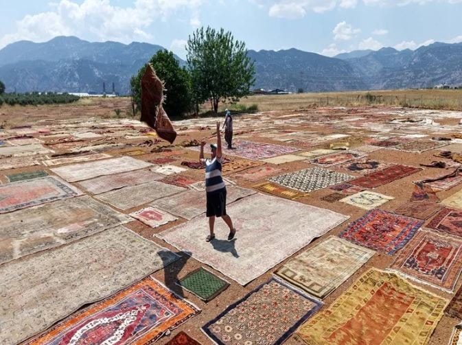 Antalya'da hasat sonrası tarlalara serilen ürün kuruyunca servet değer kazanıyor: Tanesi 5 bin dolardan alıcı buluyor