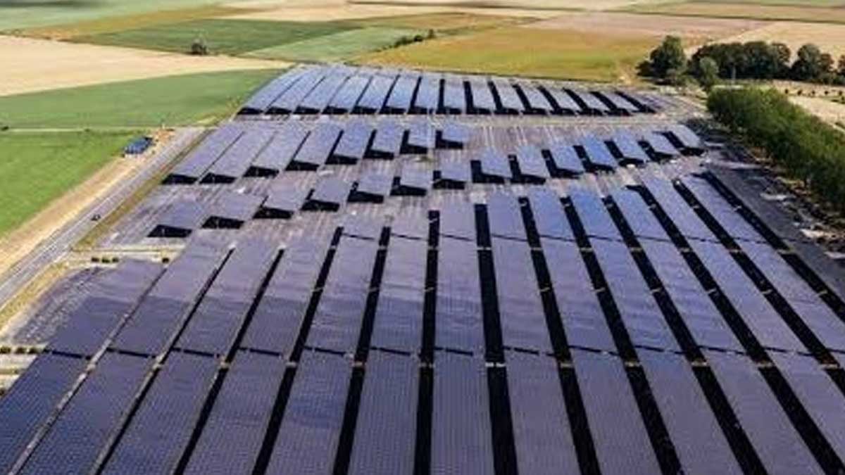 Ormanları kesmeden dev güneş enerjisi: Hayvanat bahçesi otoparkını enerji santraline çevirdi