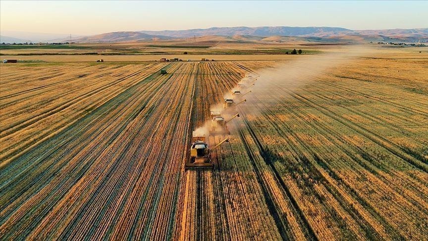 Buğday Devi Taban Gıda Konkordato İlan Etti: Dev Filoya Rağmen İflasın Eşiğinde