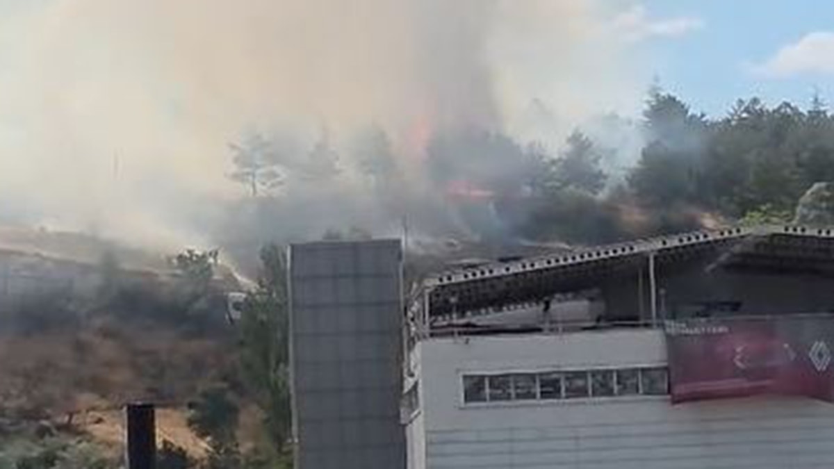 Başkent'teki üniversite ormanında alevler ağaçlara sıçradı: Ekipler müdahale etti