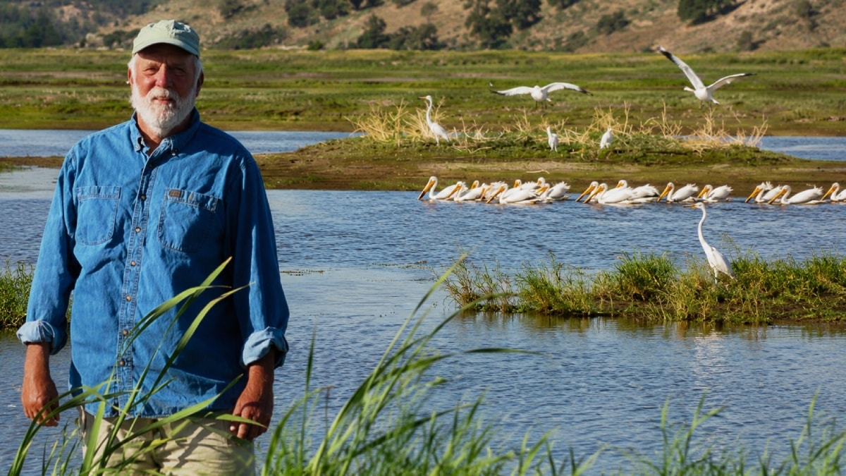 Verimsiz Tarlasını Sulak Alana Çeviren Çiftçinin Kararı, Doğayı Canlandırdı